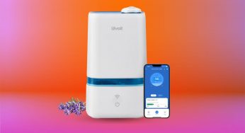 Discover the Winter Wellness Secret: How a $36 Humidifier Transforms Your Health