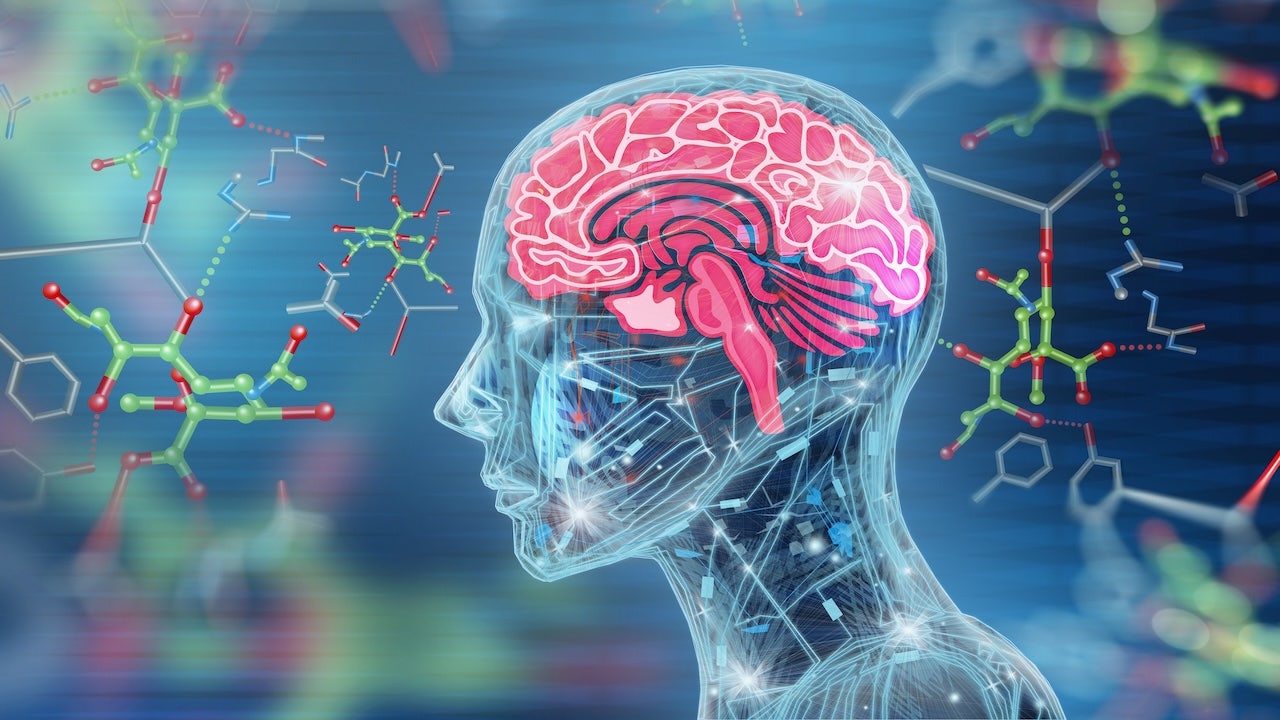 brain-aging-hotspot-discovery