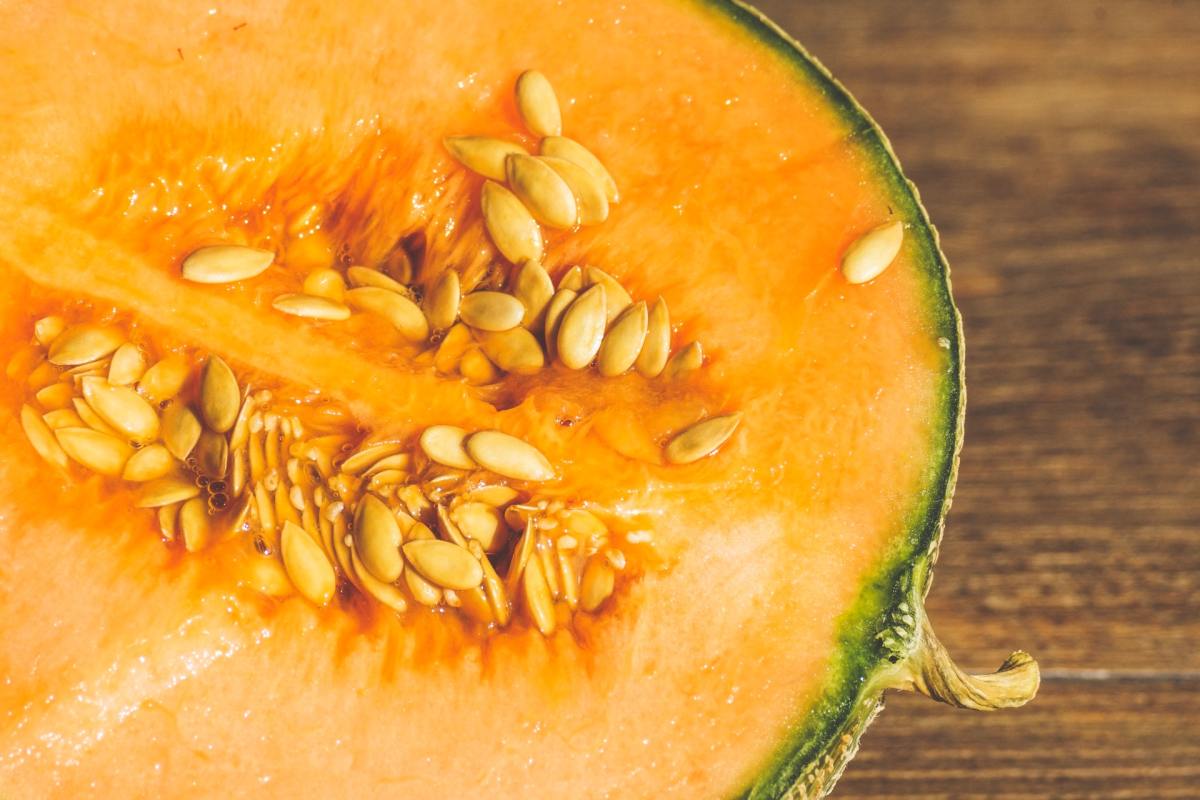 melon-immune-system-benefits