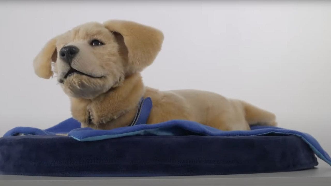 robotic-dog-mental-health-support