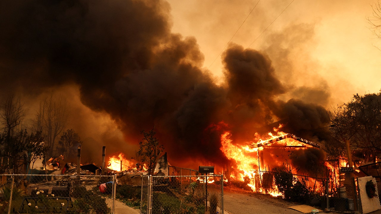 wildfire-survivors-trauma-support