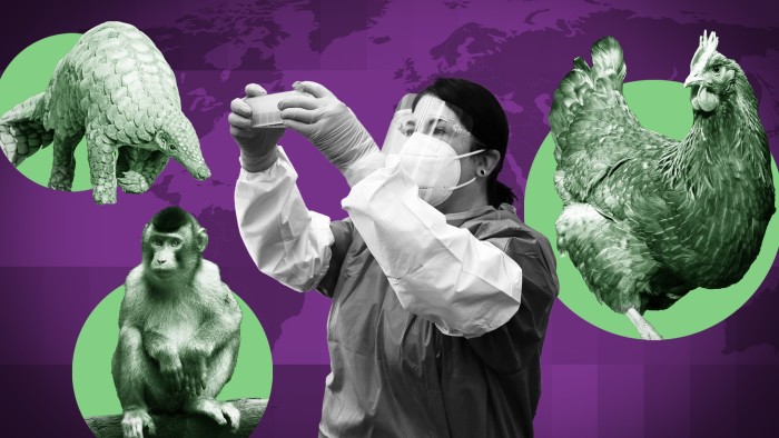 zoonotic-diseases-threat-global-health