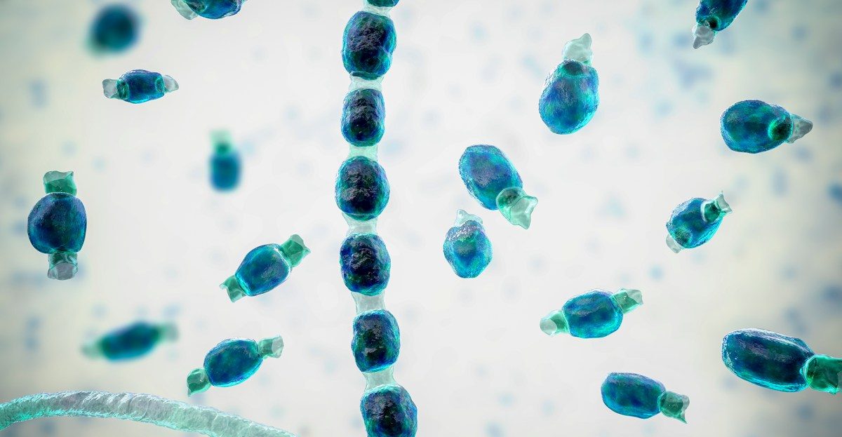 airborne-fungal-outbreaks