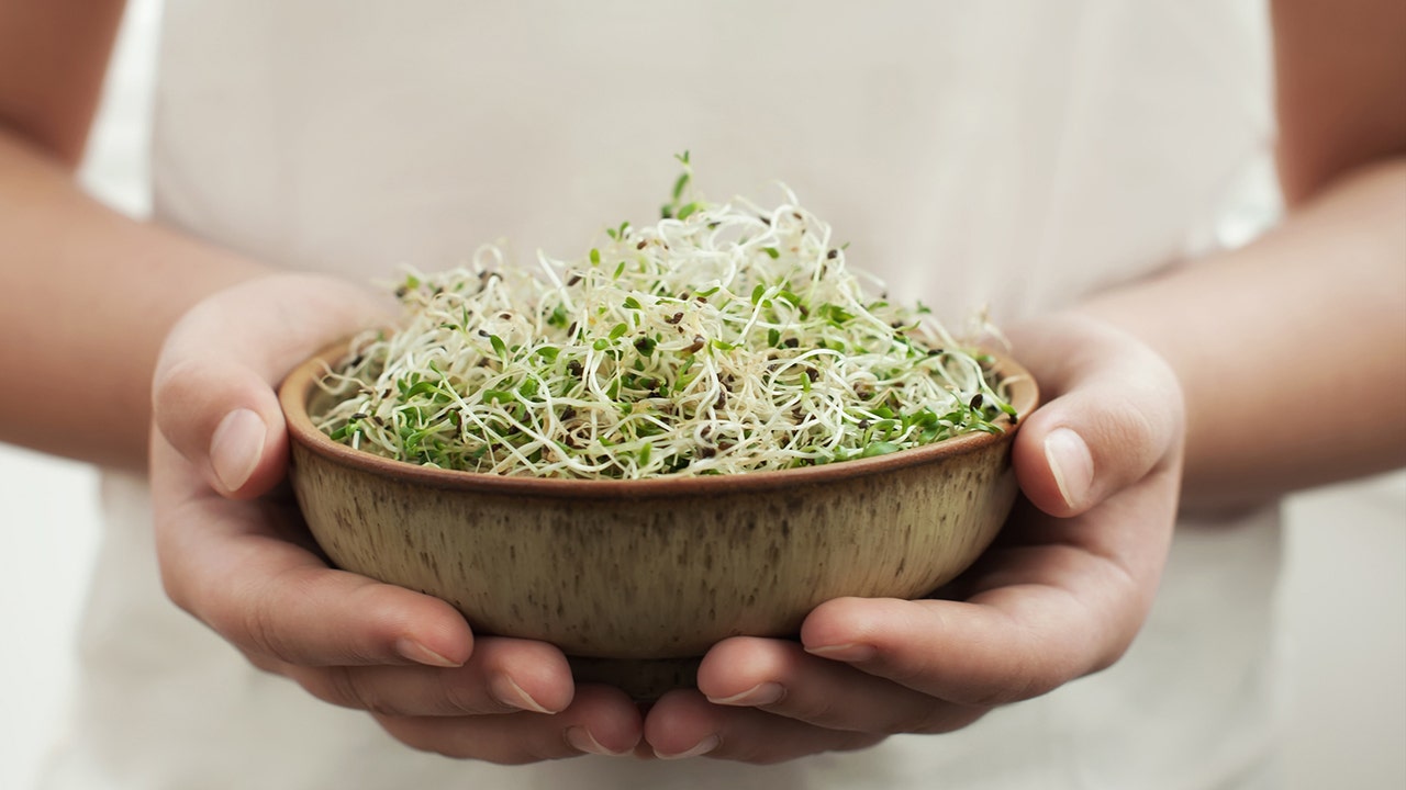 alfalfa-sprouts-listeria-recall
