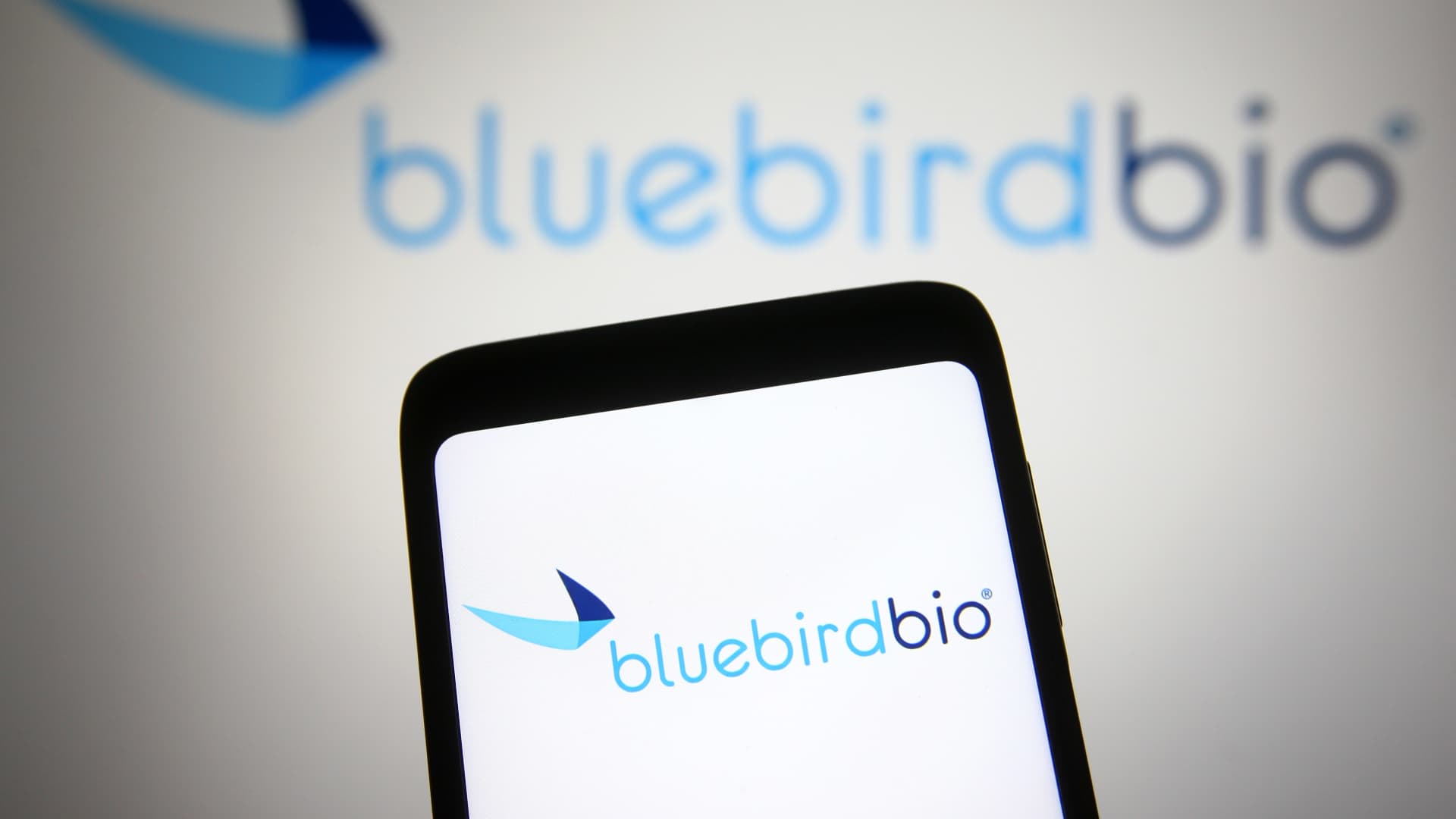 bluebird-bio-private-equity