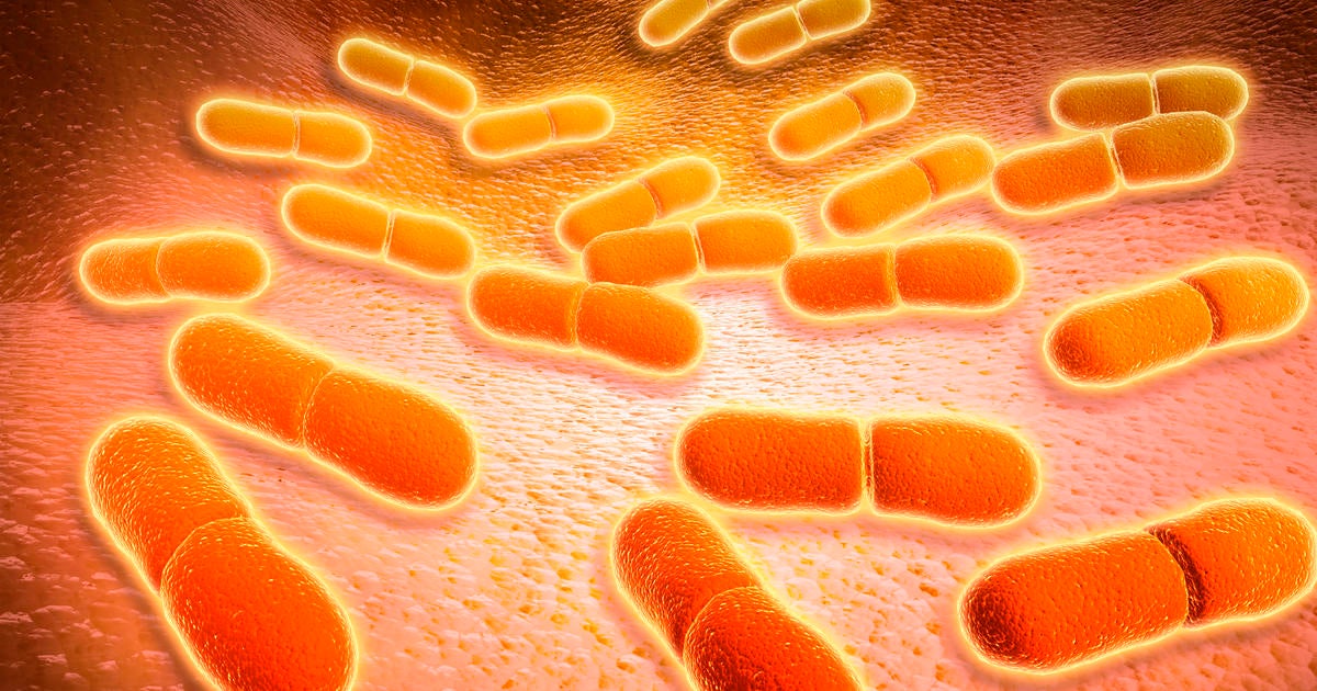 foodborne-illnesses-america