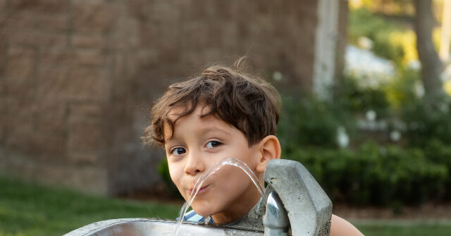 lee-county-fluoride-removal