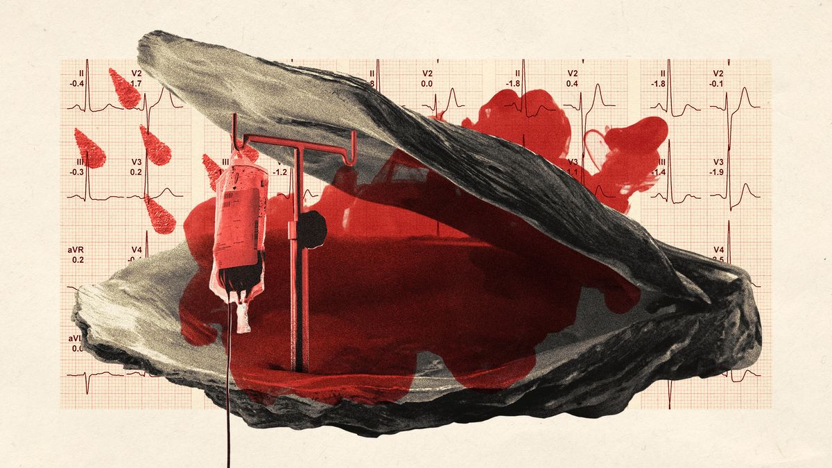 oysters-combat-antibiotic-resistance