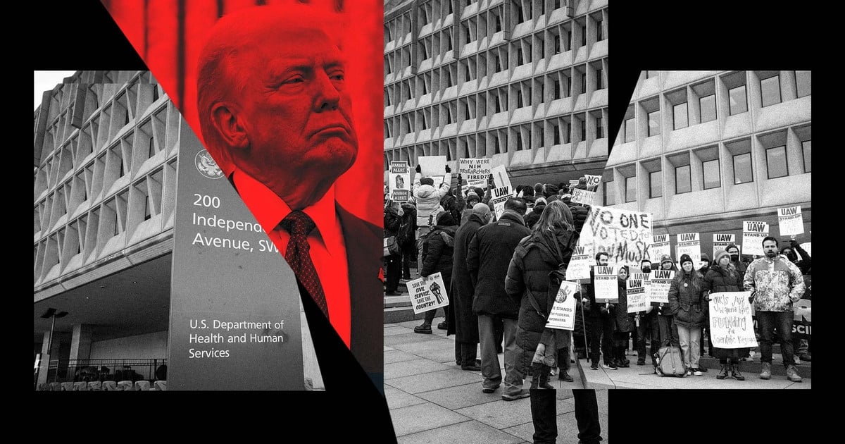 public-health-experts-dismissal-trump