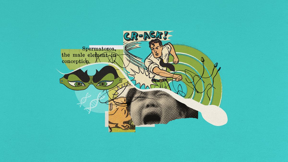 sperm-cells-generational-trauma