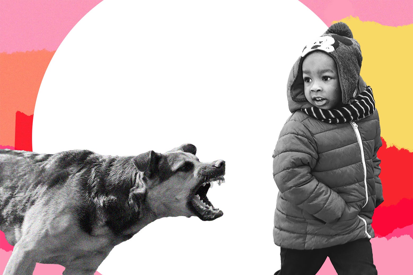 dog-attack-family-trauma