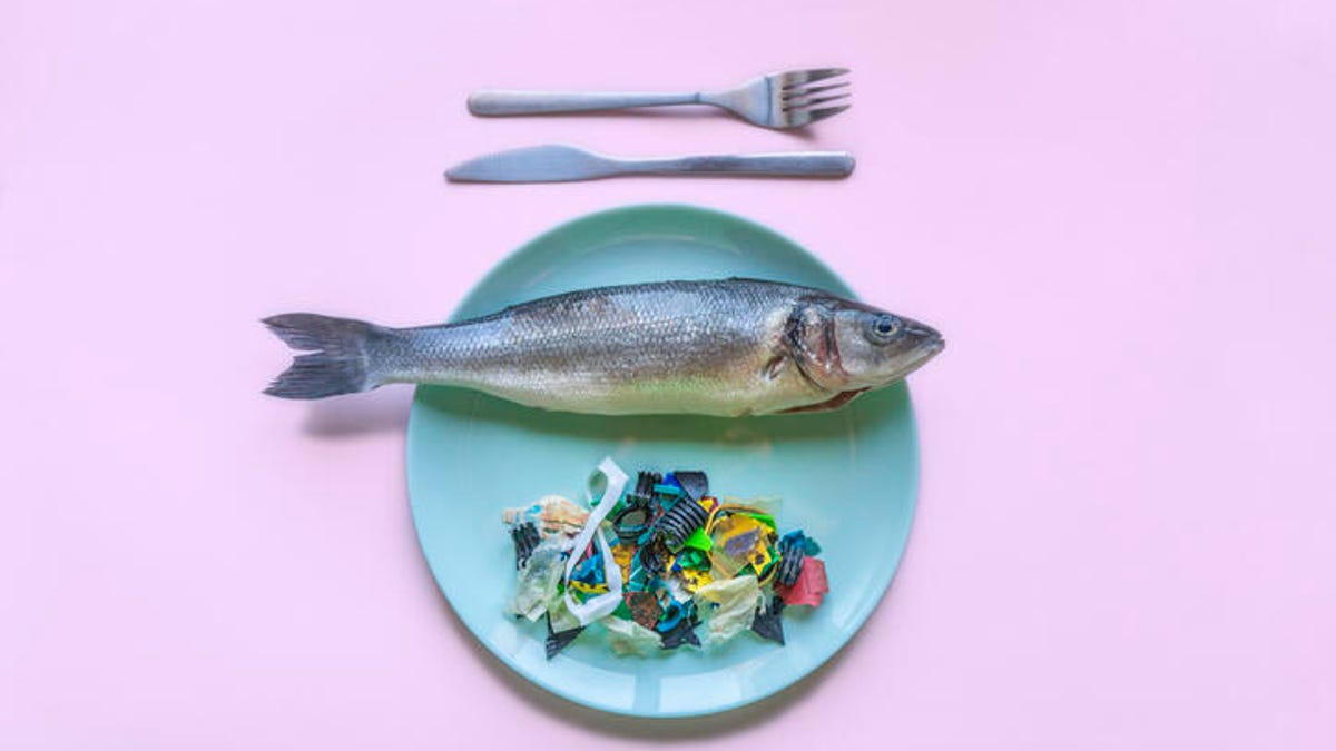 microplastics-in-food