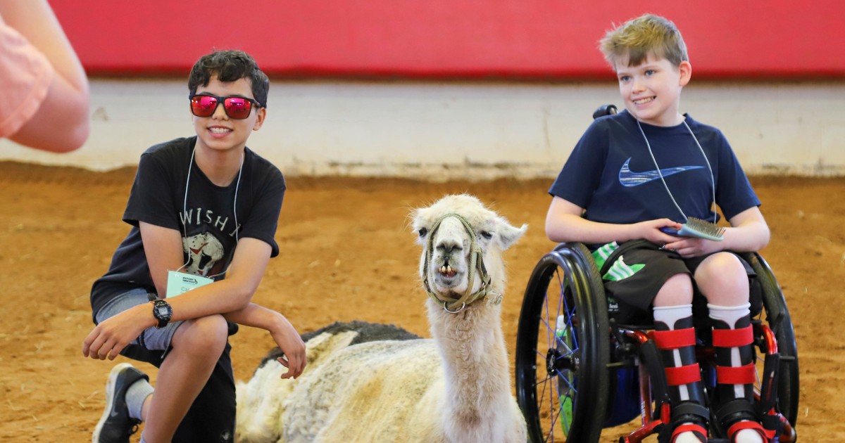 world-oldest-llama-north-carolina