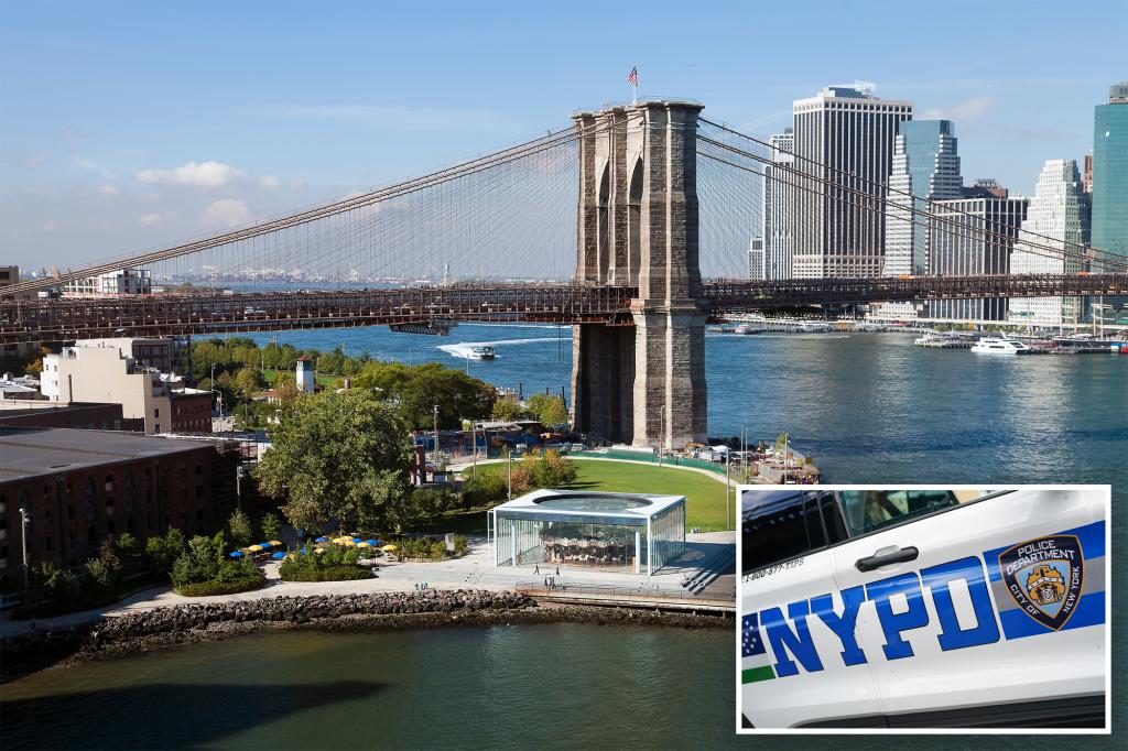 brooklyn-bridge-park-gunshot