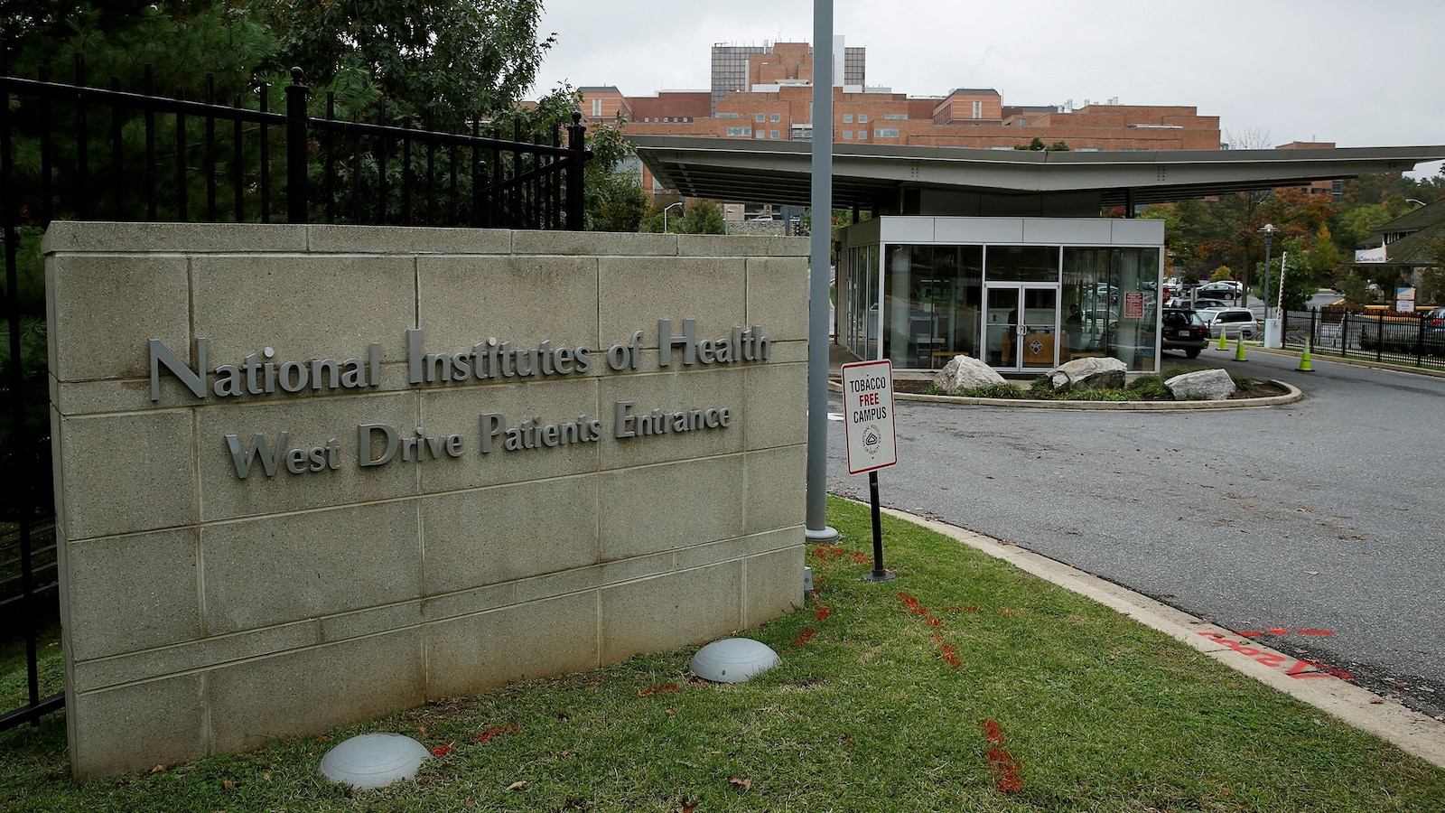 legal-showdown-scientists-sue-NIH