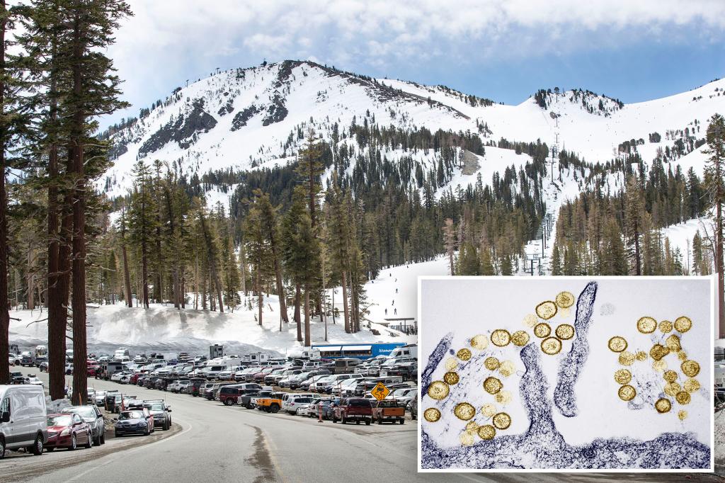 rare-virus-gene-hackman-tragedy