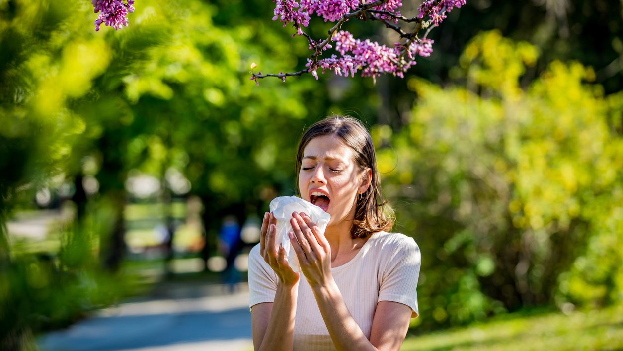 spring-allergies-remedies