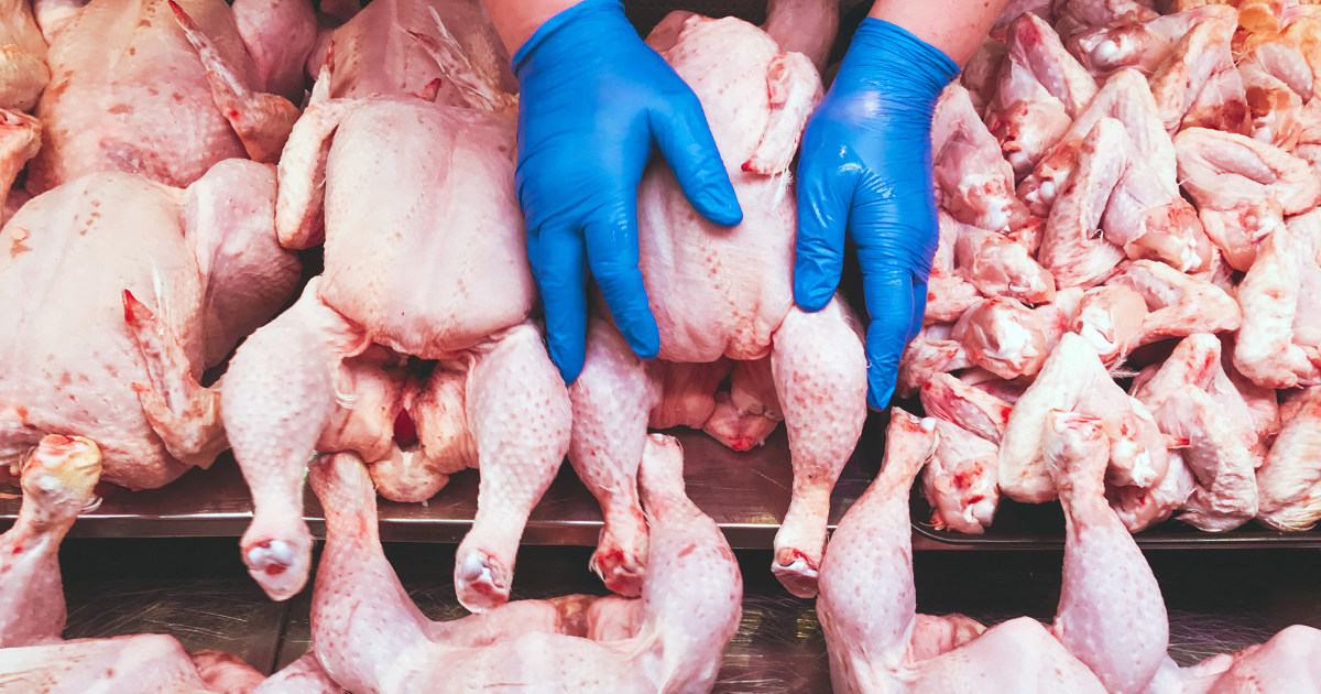 usda-salmonella-poultry-safety