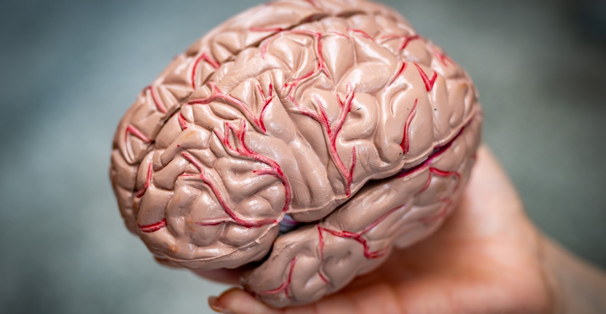 brain-implants-truth