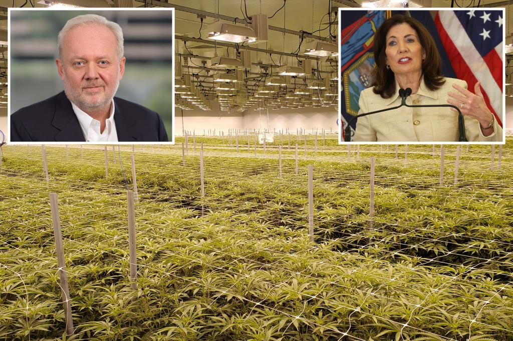 medical-marijuana-ny-regulations
