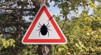 Unraveling the Spread: The Rise of Tick-Borne Illnesses in America